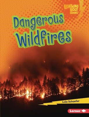 Dangerous Wildfires by Schaefer, Lola