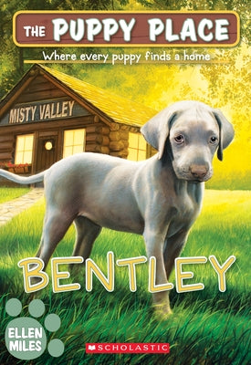 Bentley (the Puppy Place #53): Volume 53 by Miles, Ellen