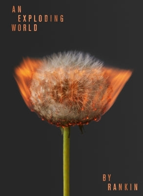 An Exploding World by Rankin