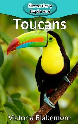 Toucans by Blakemore, Victoria