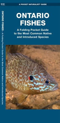 Ontario Fishes: A Folding Pocket Guide to the Most Common Native and Introduced Species by Morris, Matthew