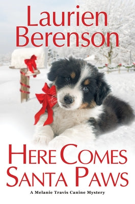 Here Comes Santa Paws by Berenson, Laurien