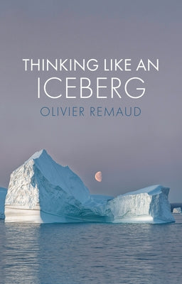 Thinking Like an Iceberg by Remaud, Olivier