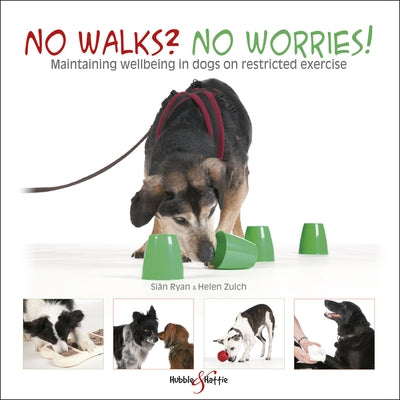 No Walks? No Worries!: Maintaining Wellbeing in Dogs on Restricted Exercise by Ryan, Sian