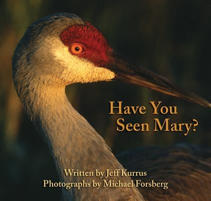 Have You Seen Mary? by Kurrus, Jeff