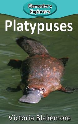 Platypuses by Blakemore, Victoria