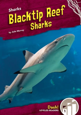 Blacktip Reef Sharks by Murray, Julie