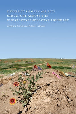 Diversity in Open-Air Site Structure Across the Pleistocene/Holocene Boundary by Carlson, Kristen A.