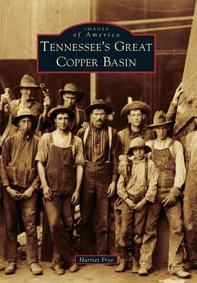 Tennessee's Great Copper Basin by Frye, Harriet