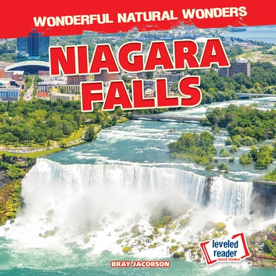 Niagara Falls by Jacobson, Bray