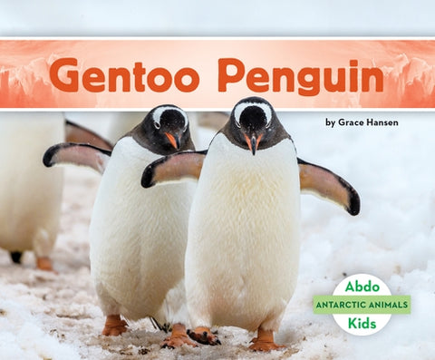 Gentoo Penguin by Hansen, Grace