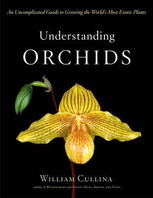 Understanding Orchids: An Uncomplicated Guide to Growing the World's Most Exotic Plants by Cullina, William