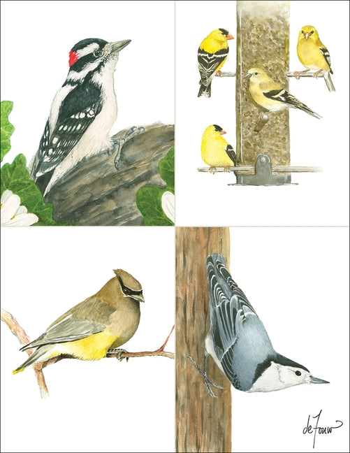 Backyard Birds Boxed Notecard Assortment by Defouw Geuder, Jenny