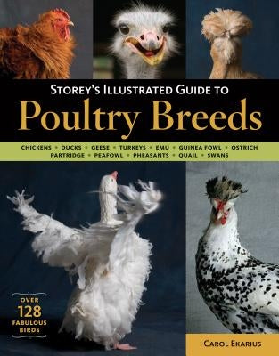Storey's Illustrated Guide to Poultry Breeds: Chickens, Ducks, Geese, Turkeys, Emus, Guinea Fowl, Ostriches, Partridges, Peafowl, Pheasants, Quails, S by Ekarius, Carol