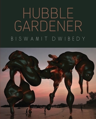 Hubble Gardener by Dwibedy, Biswamit