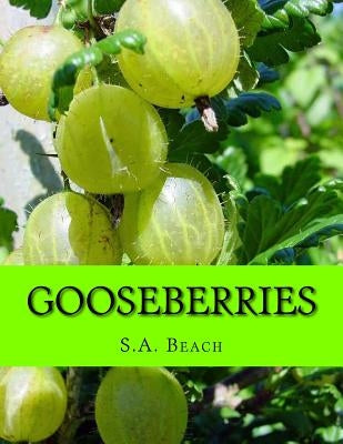 Gooseberries by Chambers, Roger