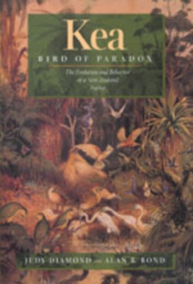 Kea, Bird of Paradox: The Evolution and Behavior of a New Zealand Parrot by Diamond, Judy