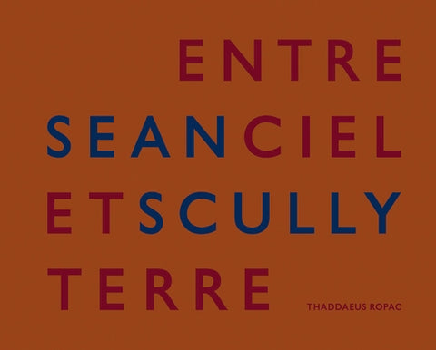 Sean Scully: Entre Ciel Et Terre by Scully, Sean