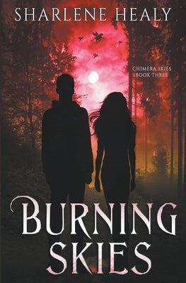 Burning Skies by Healy, Sharlene