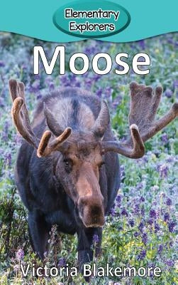 Moose by Blakemore, Victoria