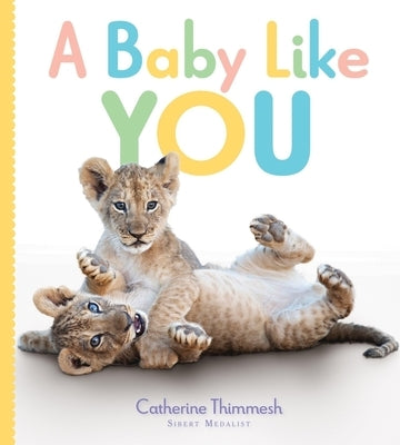 A Baby Like You by Thimmesh, Catherine