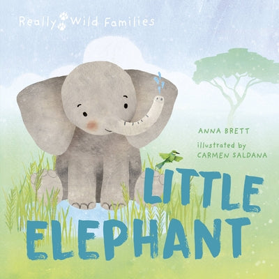 Little Elephant: A Day in the Life of a Elephant Calf by Saldana, Carmen