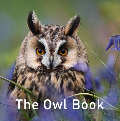 The Owl Book by Jane, Russ