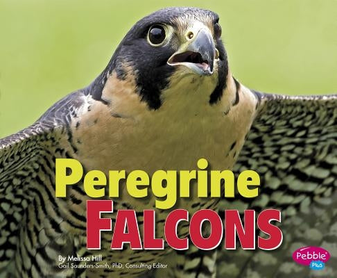 Peregrine Falcons by Saunders-Smith, Gail
