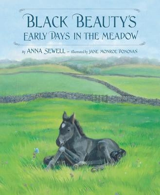 Black Beauty's Early Days in the Meadow by Sewell, Anna