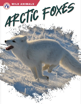 Arctic Foxes by Gendell, Megan