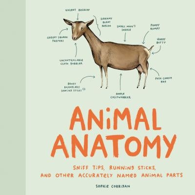 Animal Anatomy: Sniff Tips, Running Sticks, and Other Accurately Named Animal Parts by Corrigan, Sophie