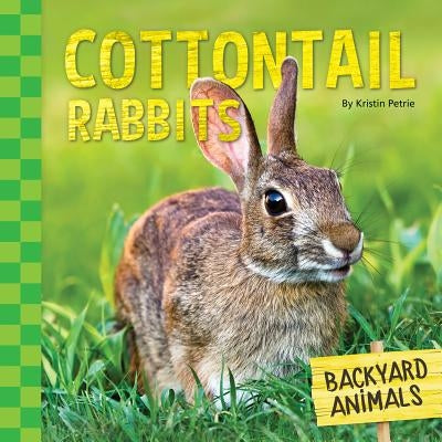 Cottontail Rabbits by Petrie, Kristin