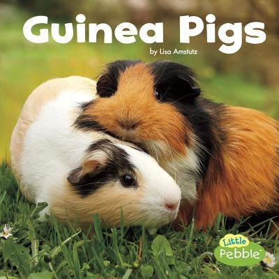 Guinea Pigs by Amstutz, Lisa J.