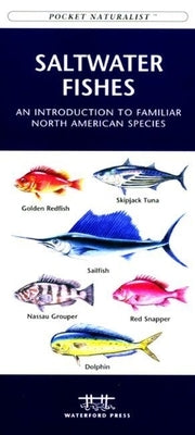Tennessee Birds: A Folding Pocket Guide to Familiar Species by Kavanagh, James