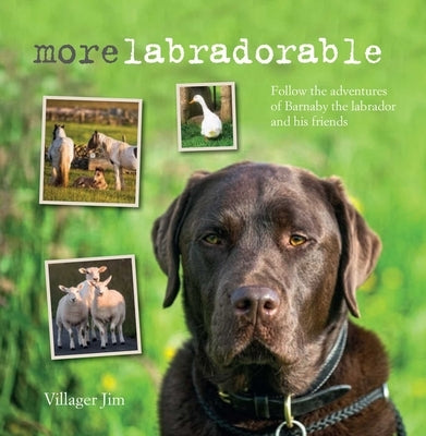 Morelabradorable: Follow the Adventures of Barnaby the Labrador and His Friends by Jim, Villager