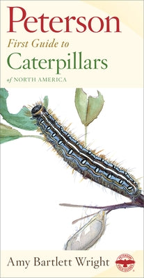 Peterson First Guide to Caterpillars of North America by Wright, Amy Bartlett