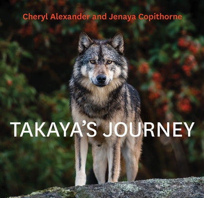 Takaya's Journey by Alexander, Cheryl