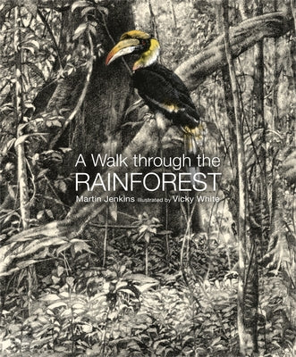 A Walk Through the Rain Forest by Jenkins, Martin