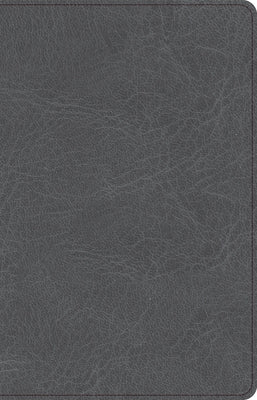 CSB Thinline Bible, Charcoal Leathertouch by Csb Bibles by Holman