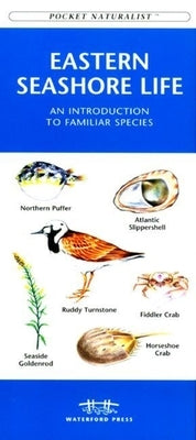 Michigan Birds: A Folding Pocket Guide to Familiar Species by Kavanagh, James