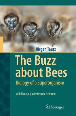 The Buzz about Bees: Biology of a Superorganism by Tautz, J&#252;rgen