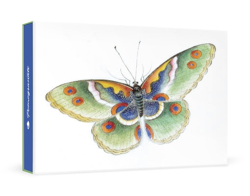 Butterfly Small Boxed Cards by Pomegranate