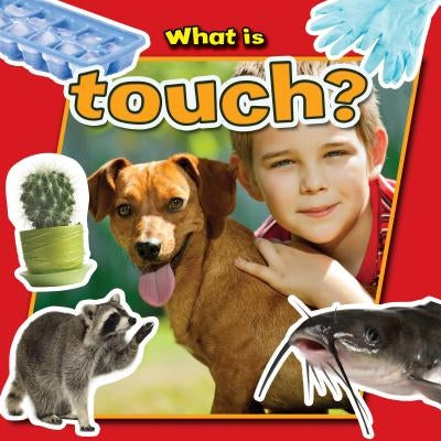 What Is Touch? by Aloian, Molly