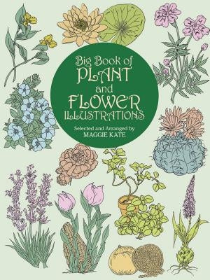 Big Book of Plant and Flower Illustrations by Kate, Maggie