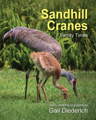 Sandhill Cranes, Family Times by Diederich, Gail