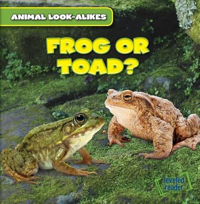 Frog or Toad? by Ryndak, Rob