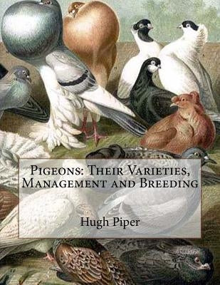 Pigeons: Their Varieties, Management and Breeding by Chambers, Jackson