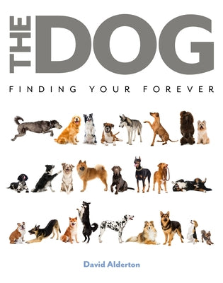 The Dog: Finding Your Forever by Alderton, David