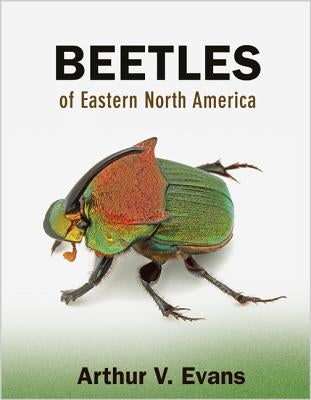 Beetles of Eastern North America by Evans, Arthur V.