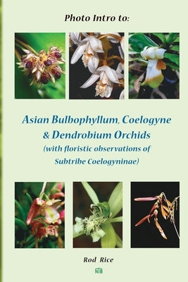 Photo Intro to: Asian Bulbophyllum, Coelogyne & Dendrobium Orchids (with Floristic Observations of Subtribe Coelogyninae) by Rice, Rod